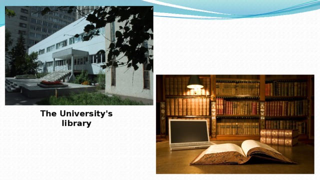 The University's library  