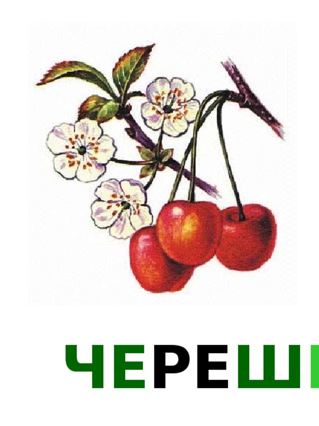 ЧЕ РЕ Ш НЯ 
