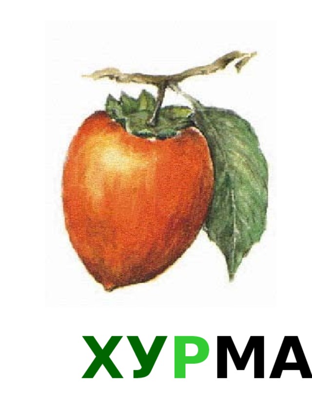 ХУ Р МА 