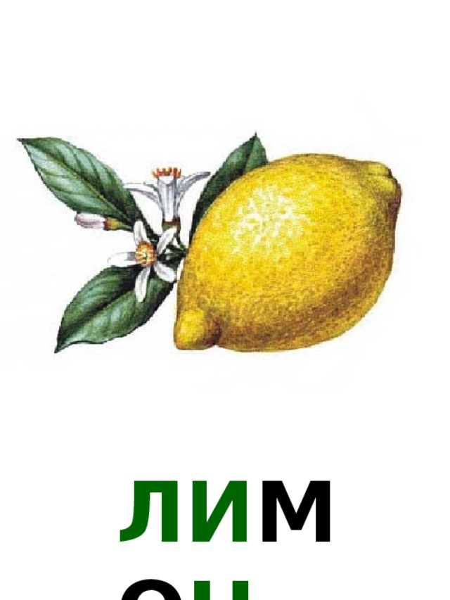 ЛИ МО Н 