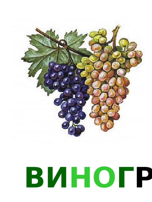 ВИ НО Г РА Д 