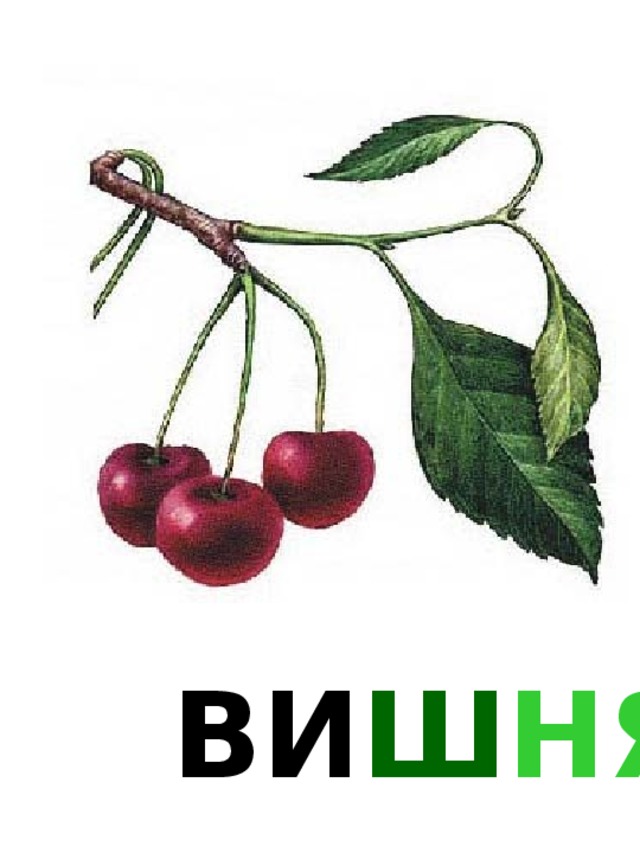 ВИ Ш НЯ 