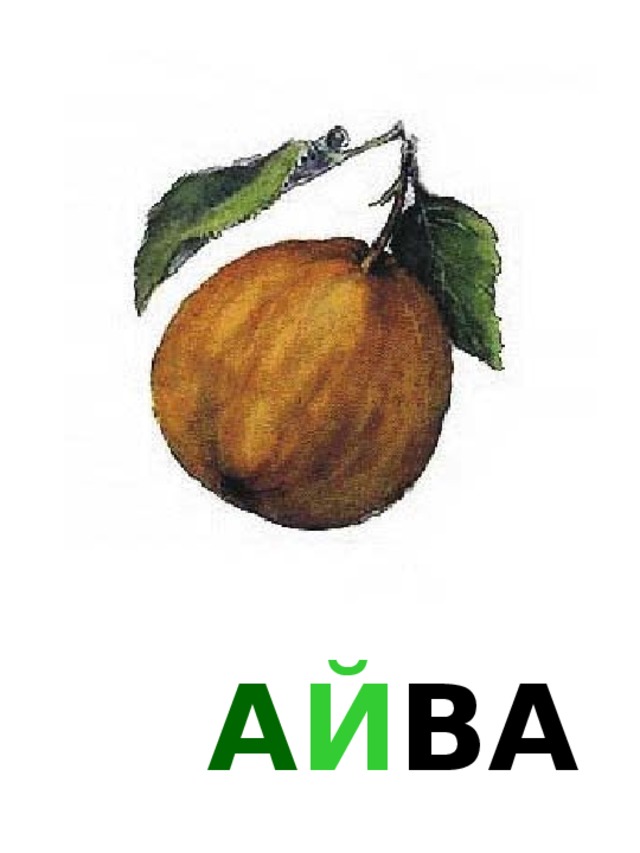 А Й ВА 