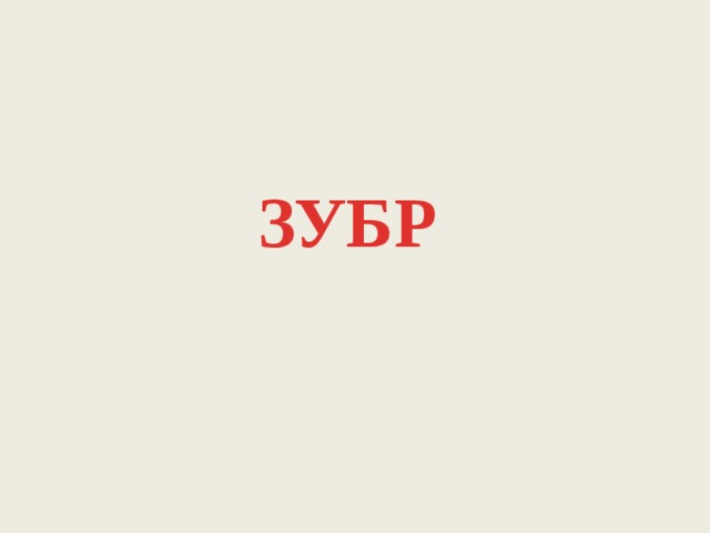 ЗУБР 