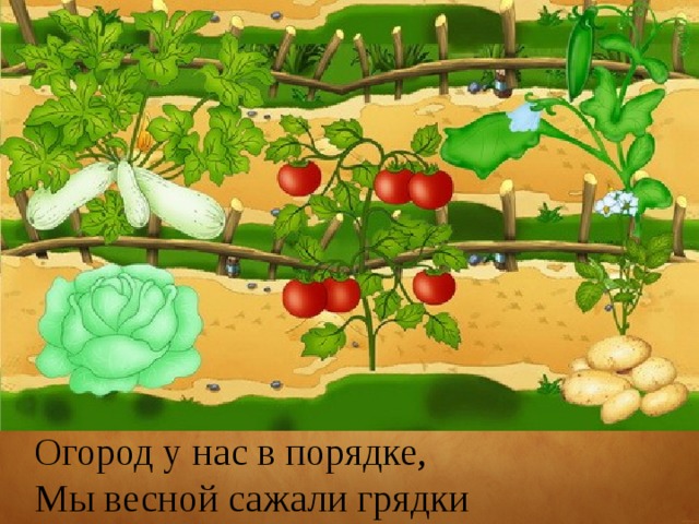 Огород у нас в порядке, Мы весной сажали грядки 