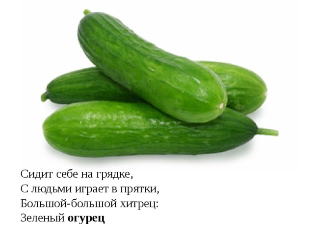 Сидит себе на грядке,  С людьми играет в прятки, Большой-большой хитрец: Зеленый огурец  