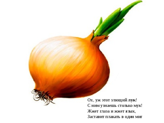 Ох, уж этот злющий  лук !  С ним узнаешь столько мук!  Жжет глаза и жжет язык,  Заставит плакать в один миг 