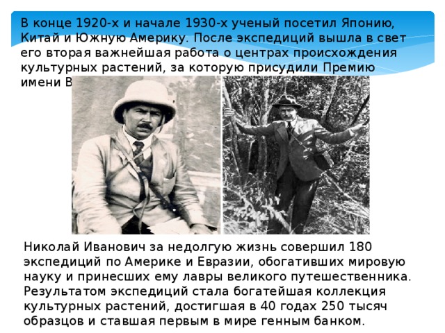 В конце 1920-х и начале 1930-х ученый посетил Японию, Китай и Южную Америку. После экспедиций вышла в свет его вторая важнейшая работа о центрах происхождения культурных растений, за которую присудили Премию имени В. И. Ленина. Николай Иванович за недолгую жизнь совершил 180 экспедиций по Америке и Евразии, обогативших мировую науку и принесших ему лавры великого путешественника. Результатом экспедиций стала богатейшая коллекция культурных растений, достигшая в 40 годах 250 тысяч образцов и ставшая первым в мире генным банком. 