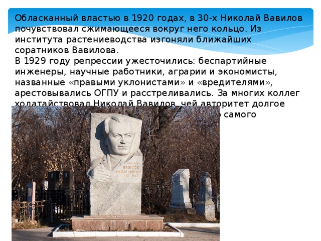 Обласканный властью в 1920 годах, в 30-х Николай Вавилов почувствовал сжимающееся вокруг него кольцо. Из института растениеводства изгоняли ближайших соратников Вавилова. В 1929 году репрессии ужесточились: беспартийные инженеры, научные работники, аграрии и экономисты, названные «правыми уклонистами» и «вредителями», арестовывались ОГПУ и расстреливались. За многих коллег ходатайствовал Николай Вавилов, чей авторитет долгое время не позволял властям взяться за него самого 