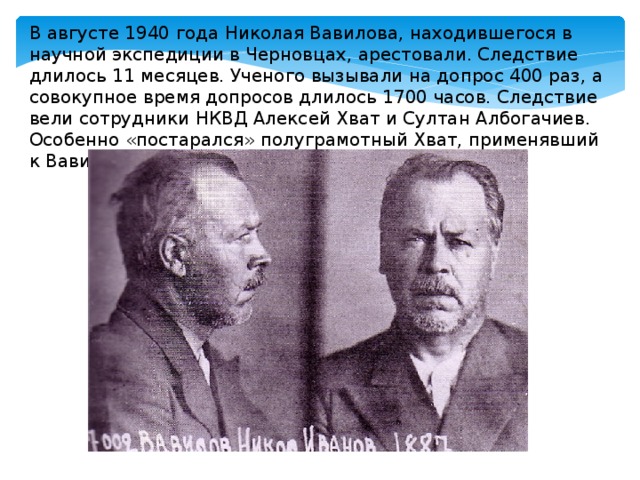 В августе 1940 года Николая Вавилова, находившегося в научной экспедиции в Черновцах, арестовали. Следствие длилось 11 месяцев. Ученого вызывали на допрос 400 раз, а совокупное время допросов длилось 1700 часов. Следствие вели сотрудники НКВД Алексей Хват и Султан Албогачиев. Особенно «постарался» полуграмотный Хват, применявший к Вавилову жесточайшие пытки. 