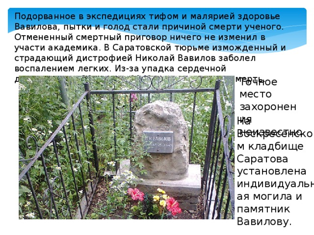 Подорванное в экспедициях тифом и малярией здоровье Вавилова, пытки и голод стали причиной смерти ученого. Отмененный смертный приговор ничего не изменил в участи академика. В Саратовской тюрьме изможденный и страдающий дистрофией Николай Вавилов заболел воспалением легких. Из-за упадка сердечной деятельности 26 января 1943 года наступила смерть. Точное место захоронения неизвестно. На Воскресенском кладбище Саратова установлена индивидуальная могила и памятник Вавилову. 