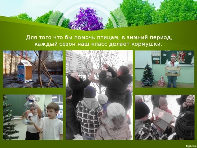  Для того что бы помочь птицам, в зимний период, каждый сезон наш класс делает кормушки. 
