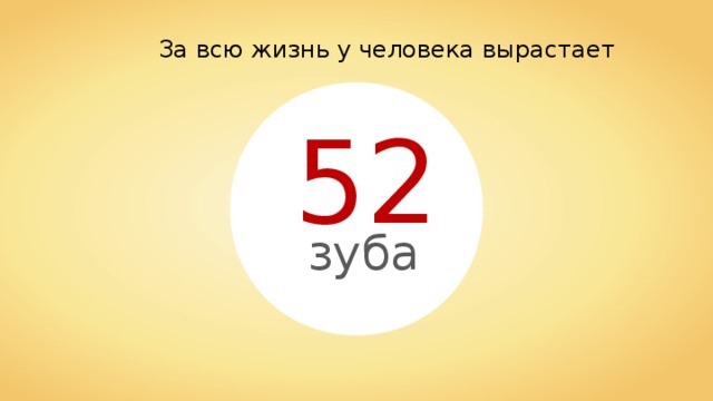За всю жизнь у человека вырастает 52 зуба 4 