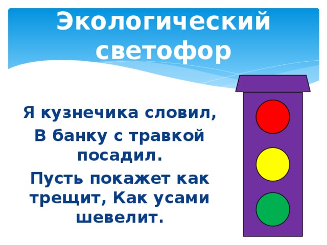 Экологический светофор Я кузнечика словил, В банку с травкой посадил. Пусть покажет как трещит, Как усами шевелит.  