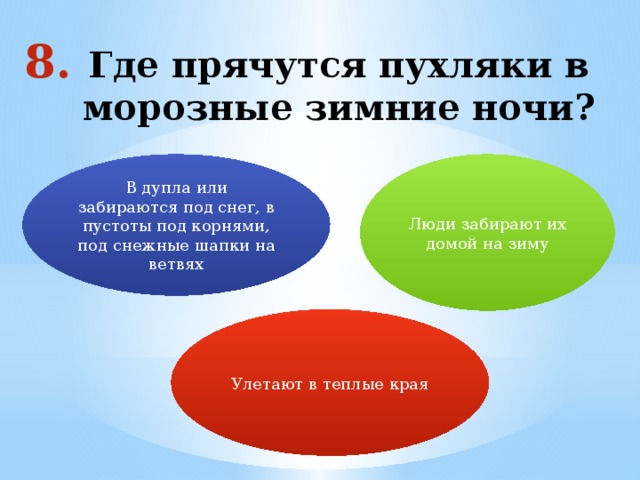 Где прячутся пухляки в морозные зимние ночи? В дупла или забираются под снег, в пустоты под корнями, под снежные шапки на ветвях Люди забирают их домой на зиму Улетают в теплые края 