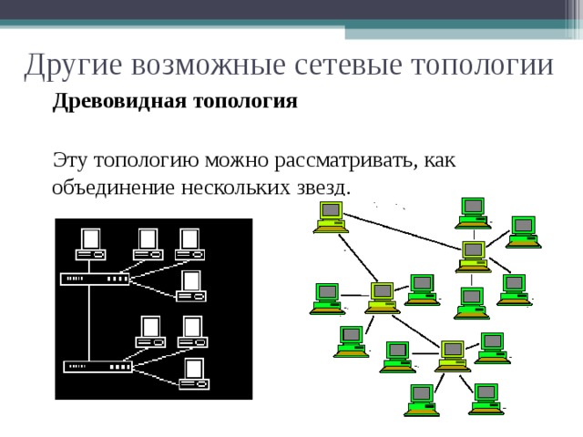 Другие возможные сетевые топологии  Древовидная топология  Эту топологию можно рассматривать, как объединение нескольких звезд.  