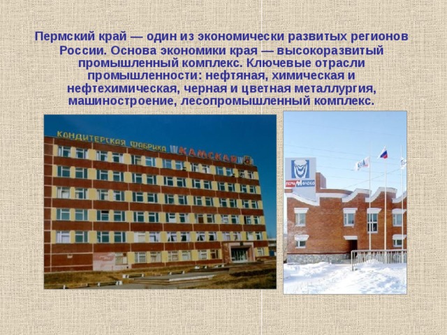 Пермский край — один из экономически развитых регионов России. Основа экономики края — высокоразвитый промышленный комплекс. Ключевые отрасли промышленности: нефтяная, химическая и нефтехимическая, черная и цветная металлургия, машиностроение, лесопромышленный комплекс. 