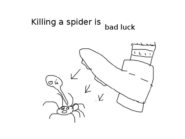 Killing a spider is bad luck 