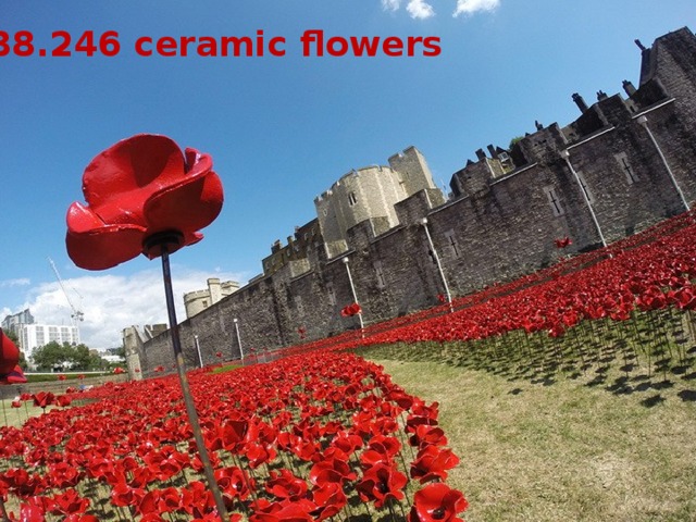 888.246 ceramic flowers 