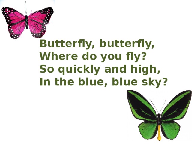Butterfly, butterfly, Where do you fly? So quickly and high, In the blue, blue sky?  
