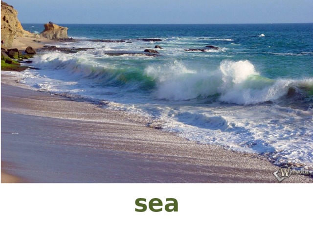 sea 