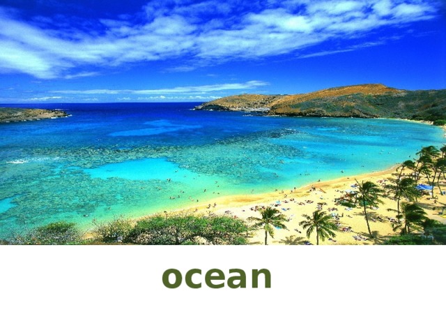 ocean 