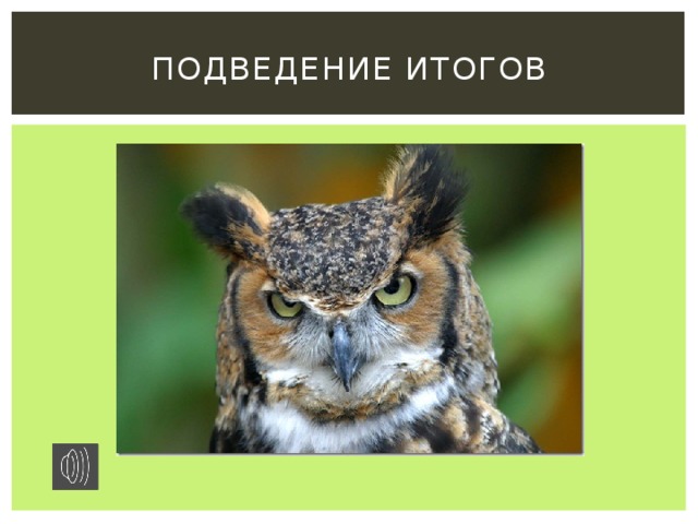 Подведение итогов 