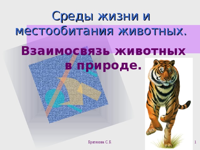 Среды жизни и местообитания животных. Взаимосвязь животных в природе. Братякова С.Б.  