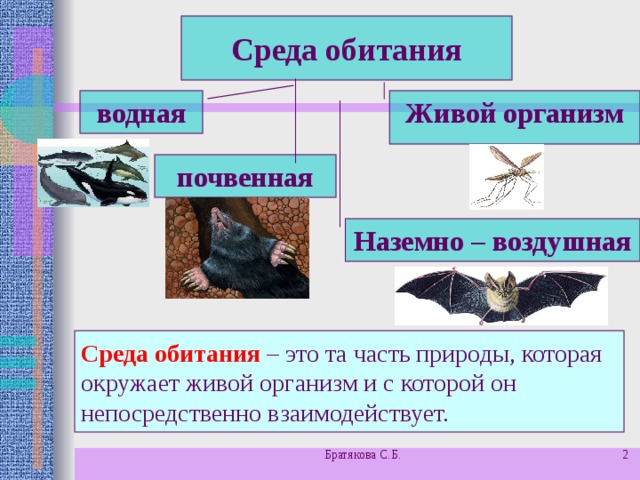 Среда обитания водная Живой организм почвенная Наземно – воздушная  Среда обитания – это та часть природы, которая окружает живой организм и с которой он непосредственно взаимодействует. Братякова С.Б.  