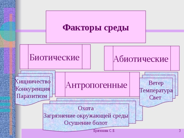 Факторы среды Биотические  Абиотические Хищничество Конкуренция Паразитизм Антропогенные Ветер Температура Свет Охота Загрязнение окружающей среды Осушение болот Братякова С.Б.  