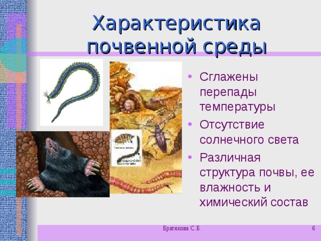 Характеристика почвенной среды Сглажены перепады температуры Отсутствие солнечного света Различная структура почвы, ее влажность и химический состав Братякова С.Б.  