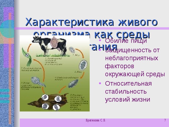 Характеристика живого организма как среды обитания   Обилие пищи Защищенность от неблагоприятных факторов окружающей среды Относительная стабильность условий жизни Братякова С.Б.  