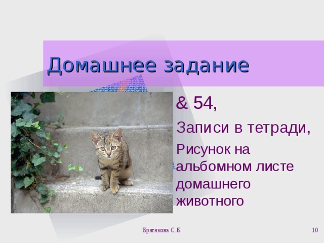 Домашнее задание & 54, Записи в тетради, Рисунок на альбомном листе домашнего животного Братякова С.Б.  