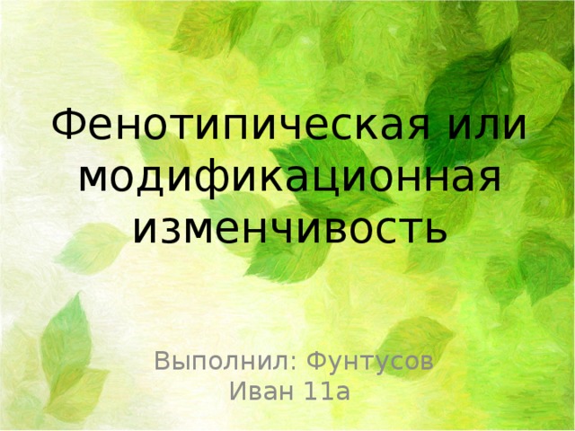 Фенотипическая или модификационная изменчивость  Выполнил: Фунтусов Иван 11а 
