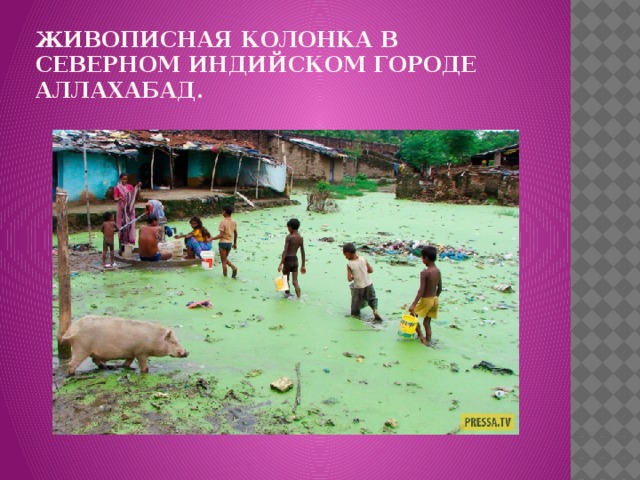 Живописная колонка в северном индийском городе Аллахабад. 