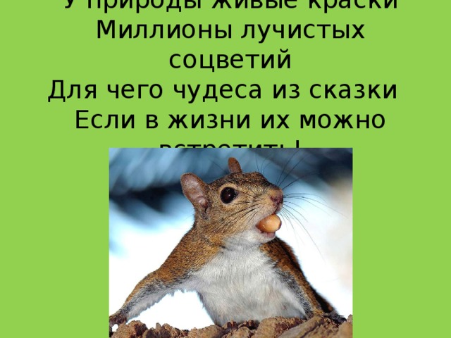 У природы живые краски  Миллионы лучистых соцветий  Для чего чудеса из сказки  Если в жизни их можно встретить!   