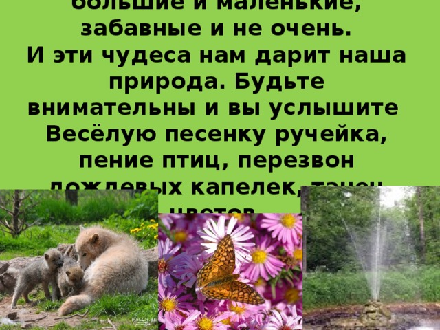 Нас всюду ожидают чудеса: большие и маленькие, забавные и не очень.  И эти чудеса нам дарит наша природа. Будьте внимательны и вы услышите  Весёлую песенку ручейка, пение птиц, перезвон дождевых капелек, танец цветов.   