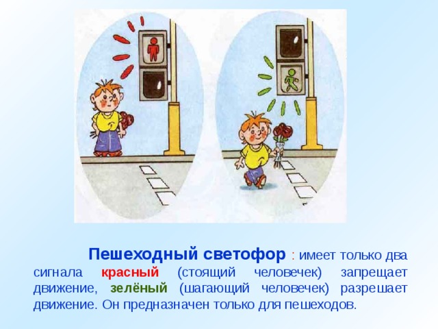  Пешеходный светофор : имеет только два сигнала красный (стоящий человечек) запрещает движение, зелёный (шагающий человечек) разрешает движение. Он предназначен только для пешеходов. 