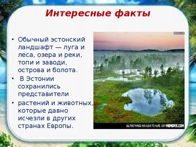 Интересные факты   Обычный эстонский ландшафт — луга и леса, озера и реки, топи и заводи, острова и болота.  В Эстонии сохранились представители растений и животных, которые давно исчезли в других странах Европы. 