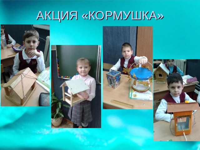 АКЦИЯ «КОРМУШКА» 