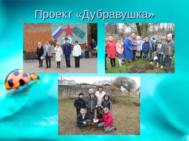 Проект «Дубравушка» 