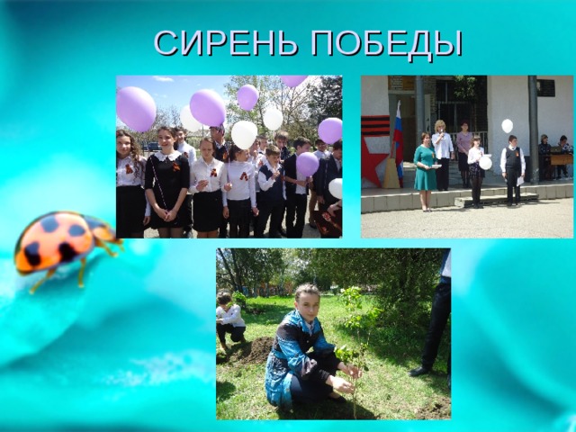  СИРЕНЬ ПОБЕДЫ 