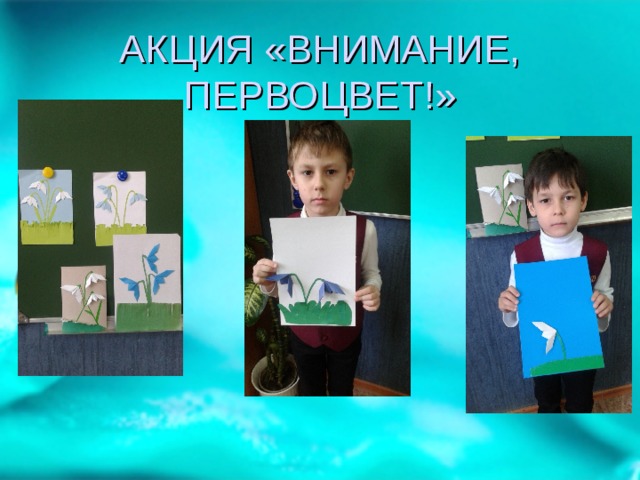 АКЦИЯ «ВНИМАНИЕ, ПЕРВОЦВЕТ!» 
