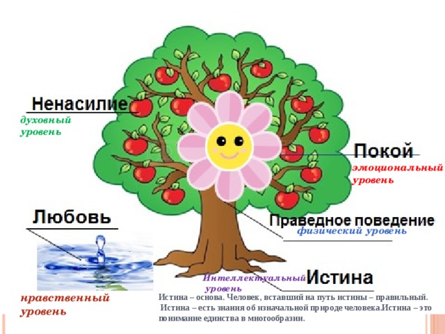 духовный уровень эмоциональный уровень физический уровень Интеллектуальный  уровень Истина – основа. Человек, вставший на путь истины – правильный. нравственный уровень  Истина – есть знания об изначальной природе человека.Истина – это понимание единства в многообразии. 