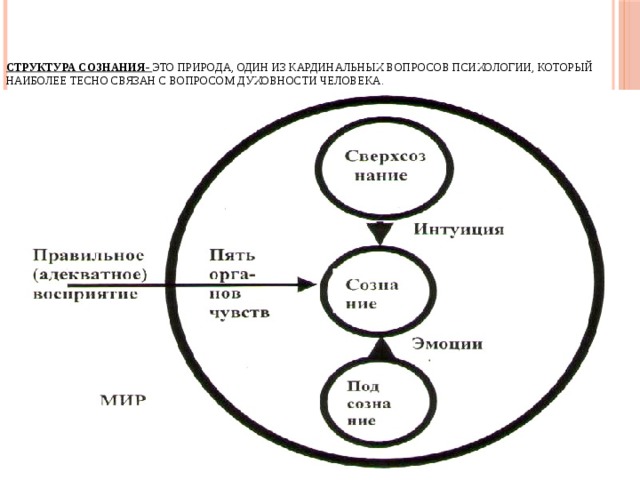     Структура сознания- это природа, один из кардинальных вопросов психологии, который наиболее тесно связан с вопросом духовности человека. 
