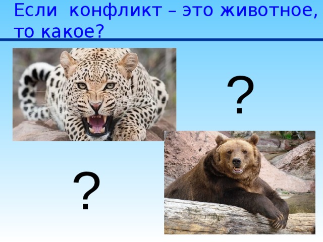 Если конфликт – это животное, то какое? ? ? 