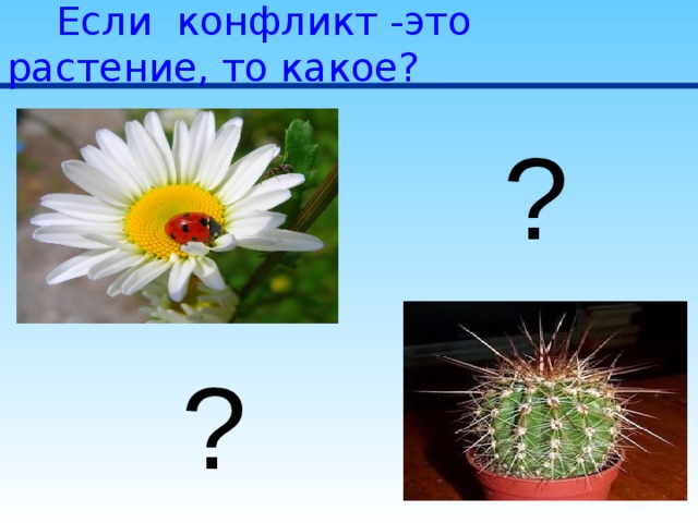  Если конфликт -это растение, то какое? ? ? 