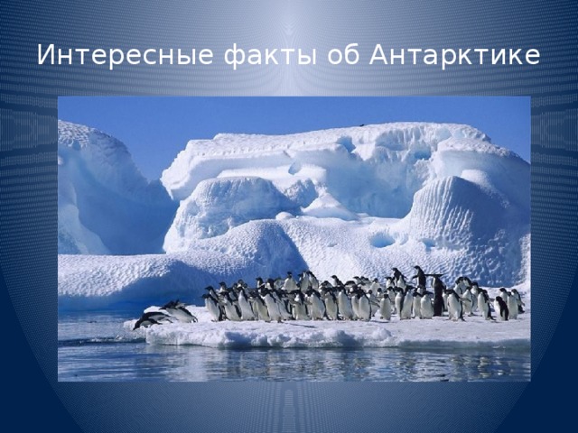 Интересные факты об Антарктике 