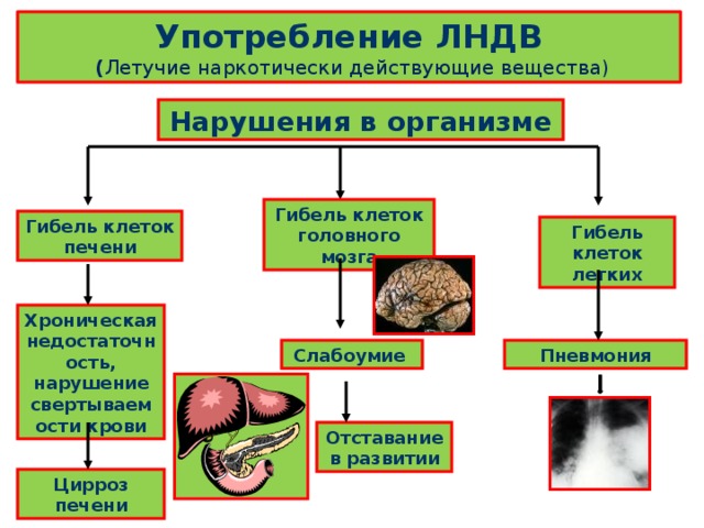 Употребление ЛНДВ  ( Летучие наркотически действующие вещества) Нарушения в организме Гибель клеток головного мозга Гибель клеток печени Гибель клеток легких Хроническая недостаточность, нарушение свертываемости крови Пневмония Слабоумие Отставание в развитии Цирроз печени 