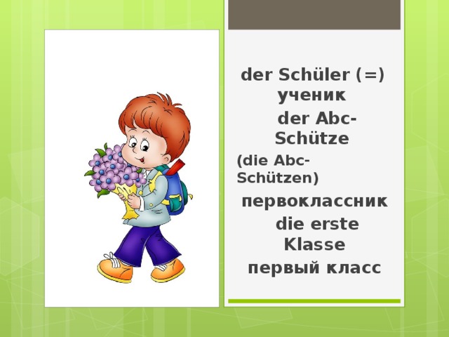  der Sch üler (=) ученик  der Abc-Schütze (die Abc-Schützen) первоклассник  die erste Klasse первый класс 